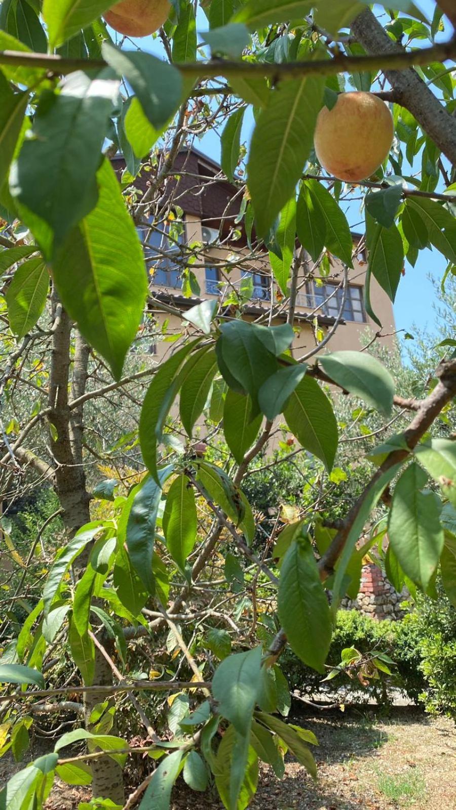 Villa Mugs Ljaknasi Exteriér fotografie