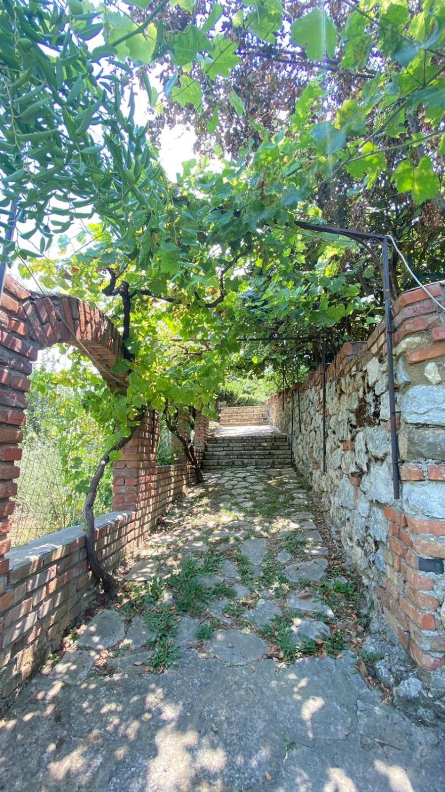 Villa Mugs Ljaknasi Exteriér fotografie